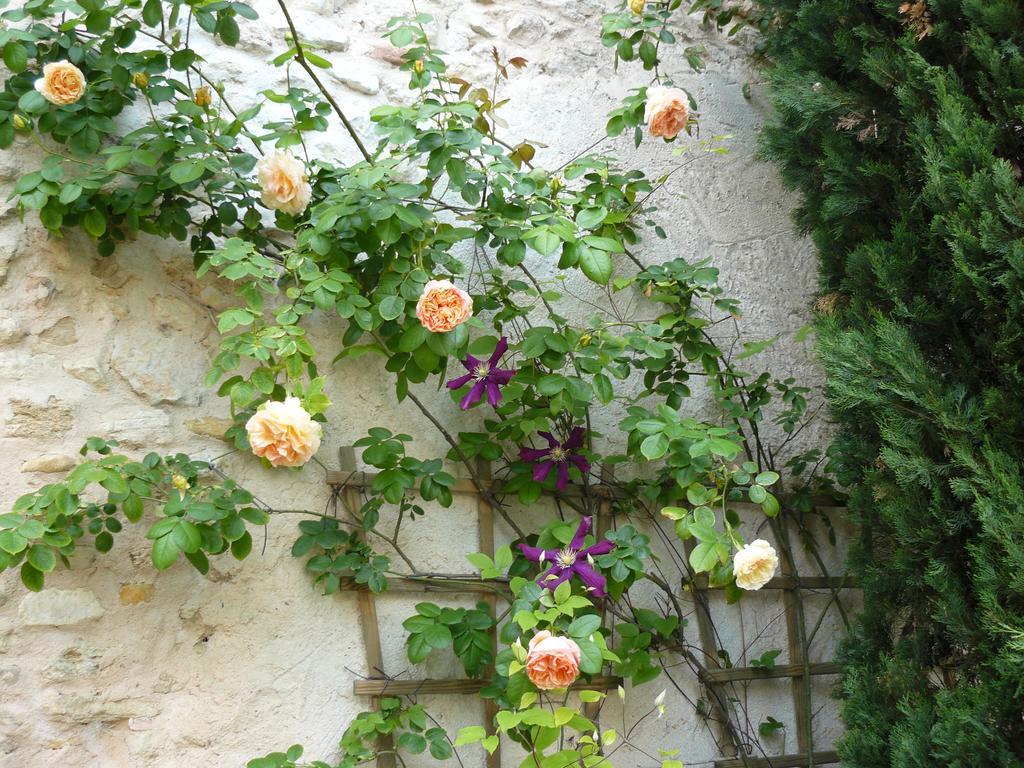La Ferme St Michel Bed and Breakfast Solérieux Eksteriør billede